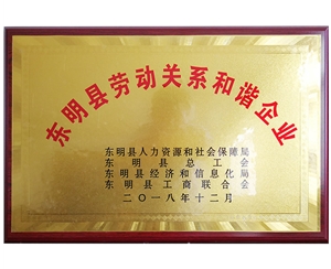东明县劳动关系和谐企业