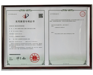 专利3