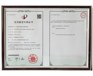 专利5